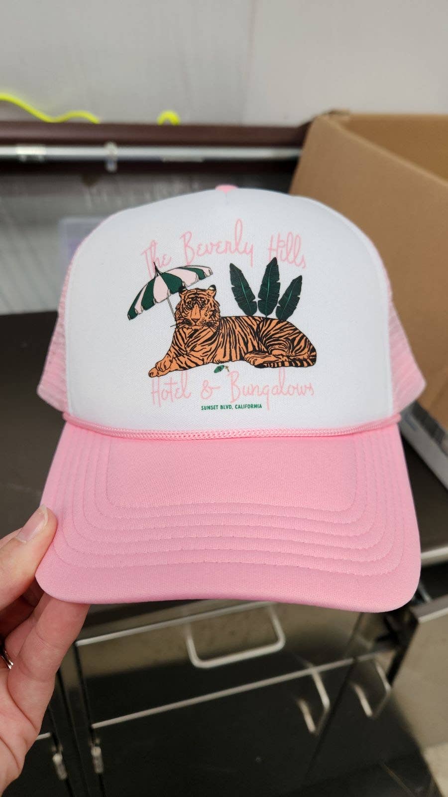 Hank & Scoot - The Beverly Hills Trucker