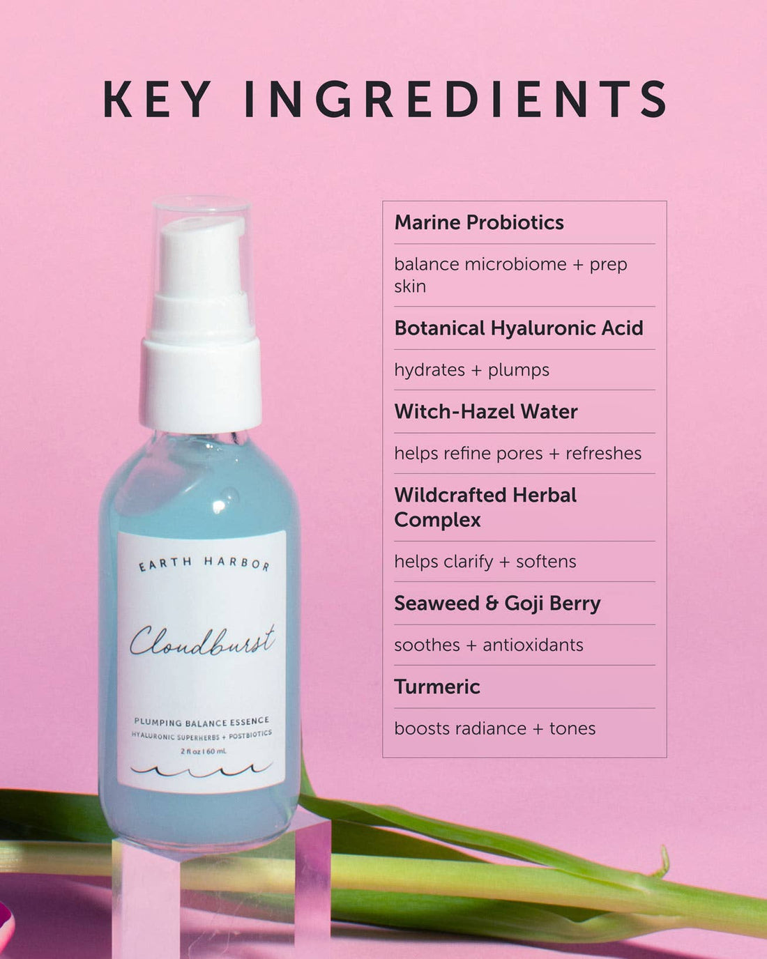 Earth Harbor Naturals - CLOUDBURST Plumping Balance Essence: Hyaluronic Superherbs